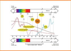 4-wave-laser-apotrixosi-alexandriti-6040